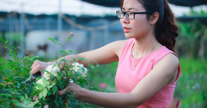 Trở thành nữ “tỷ phú” 9X nhờ khởi nghiệp với hoa hồng