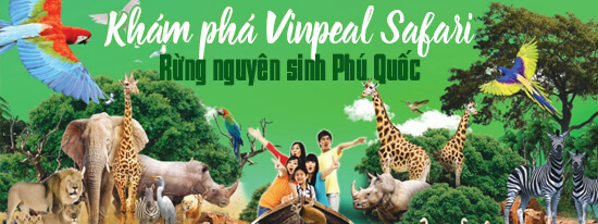 Rừng nguyên sinh Phú Quốc 